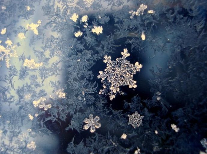 snow flakes