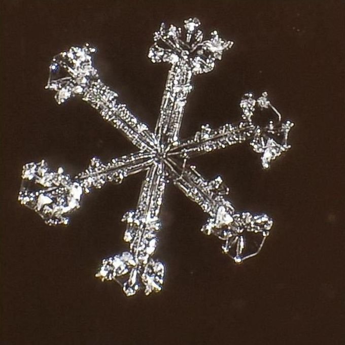 snow flakes