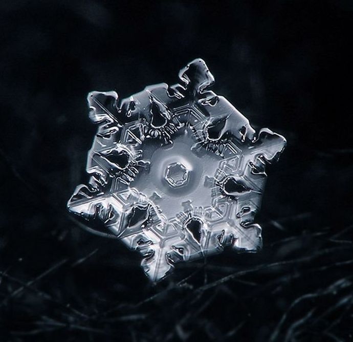 snow flakes