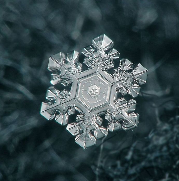 snow flakes