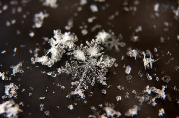 snow flakes