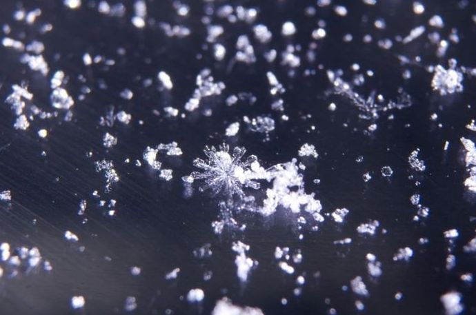 snow flakes