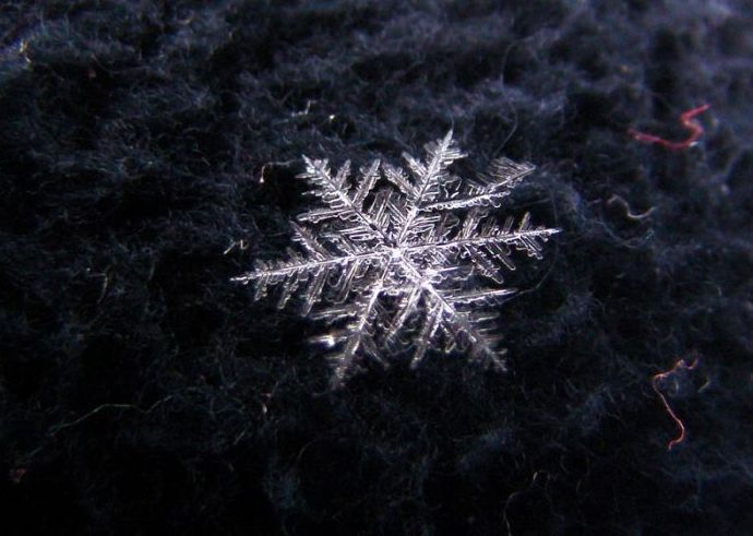 snow flakes