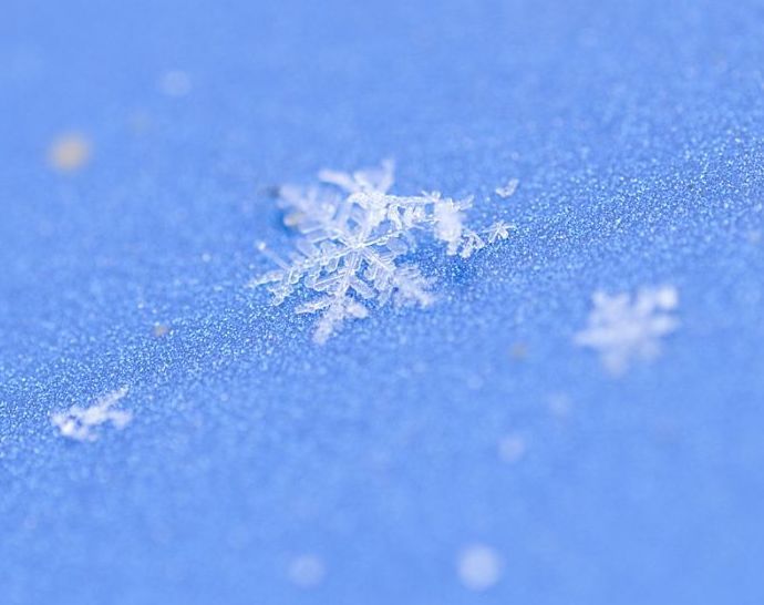 snow flakes