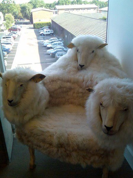 Unusual chairs