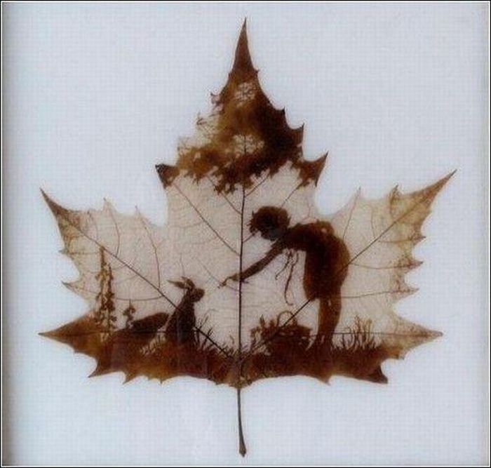 Pictures on the leaves