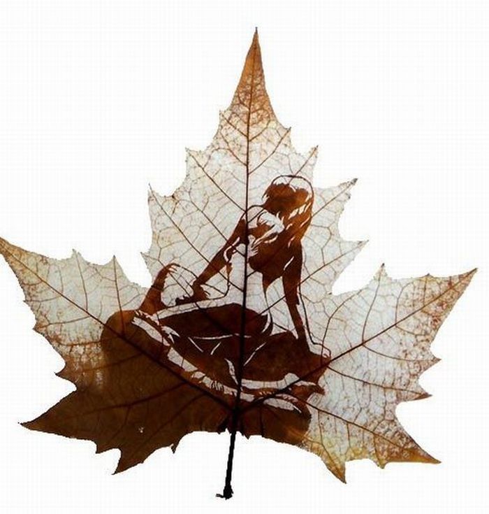 Pictures on the leaves