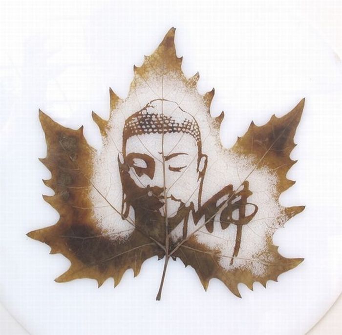 Pictures on the leaves
