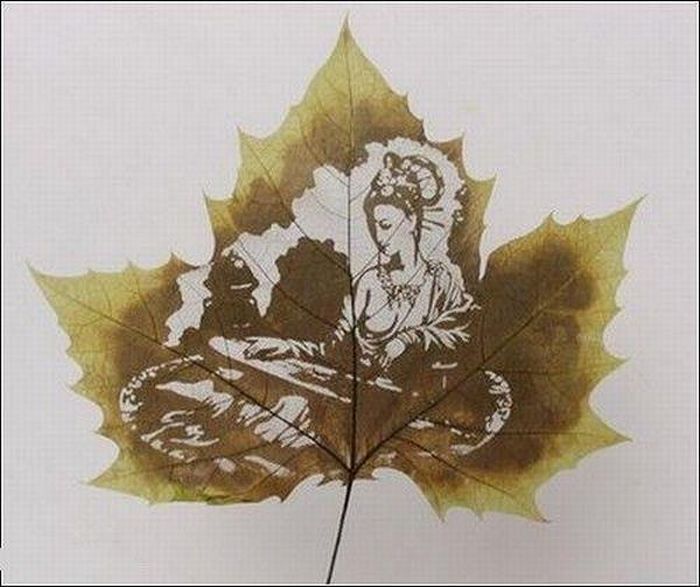 Pictures on the leaves