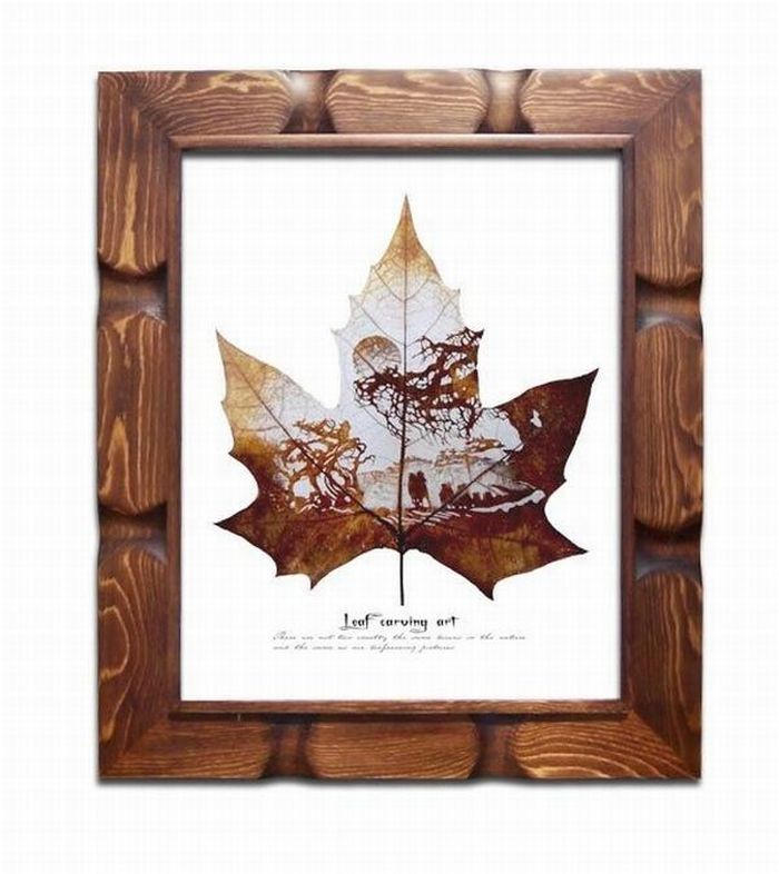 Pictures on the leaves
