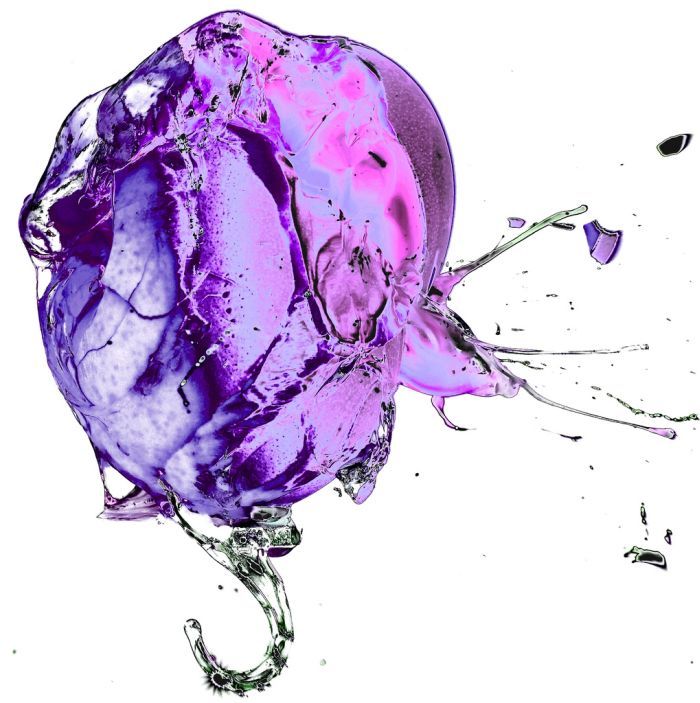 slow motion photo
