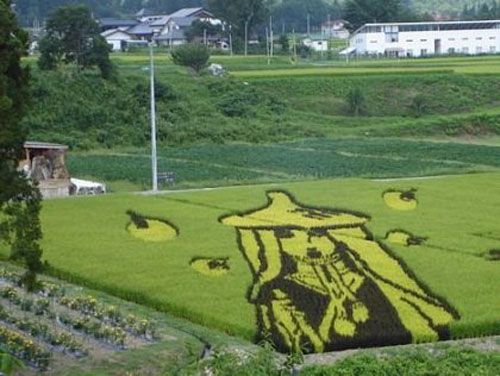 japanese rice pictures