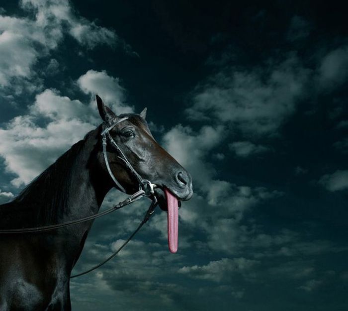 Original art by photographer Marc Da Cunha Lopes