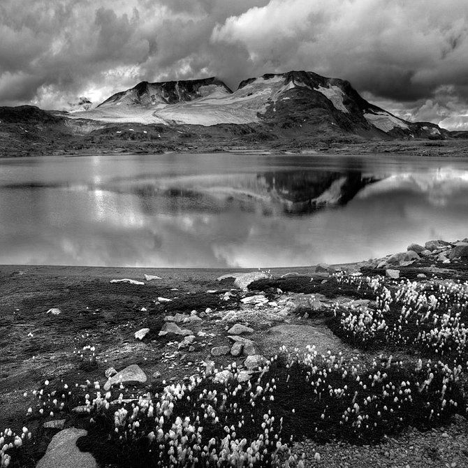 black and white landscape photography