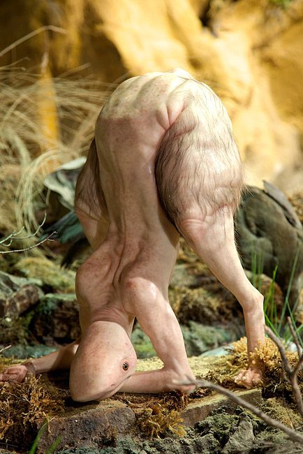 Works by Patricia Piccinini