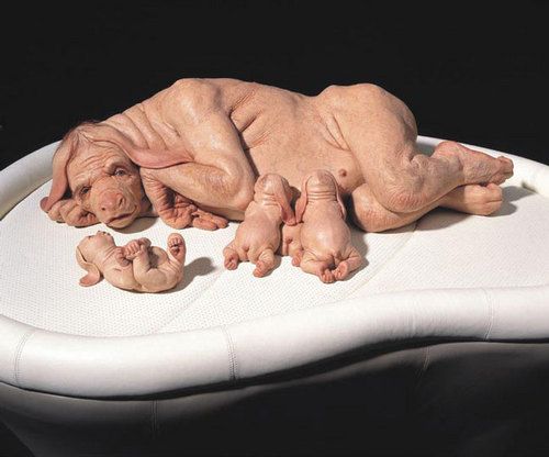 Works by Patricia Piccinini