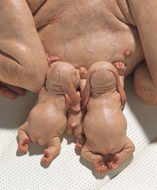 Works by Patricia Piccinini