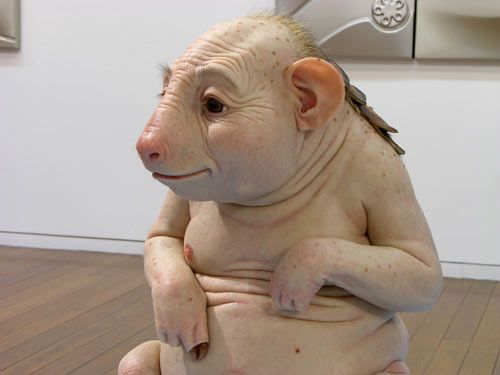 Works by Patricia Piccinini