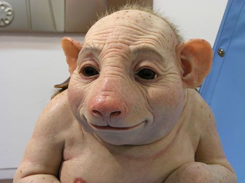 Works by Patricia Piccinini