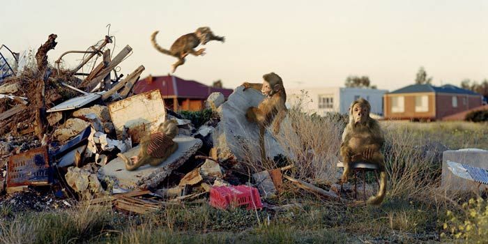 Works by Patricia Piccinini