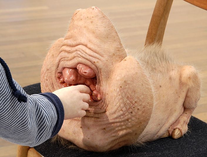 Works by Patricia Piccinini