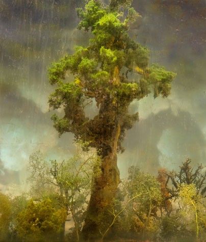 unrealistic landscape