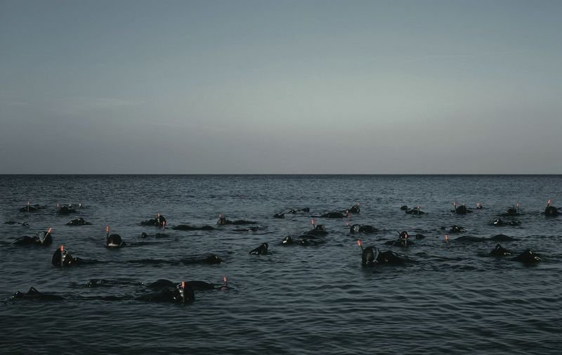 Photography By Tim Mac Pherson