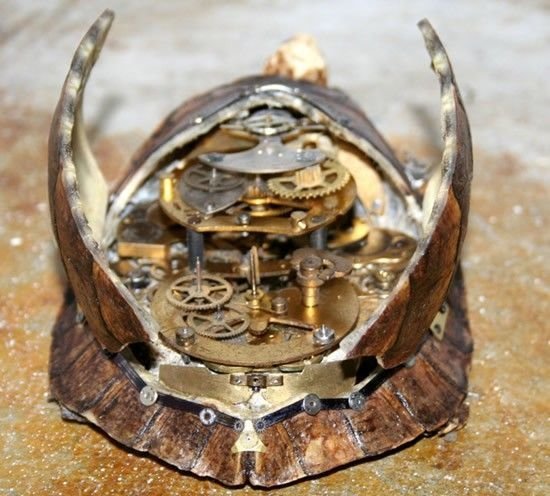 Mechanical taxidermy