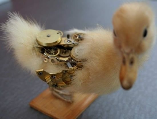 Mechanical taxidermy