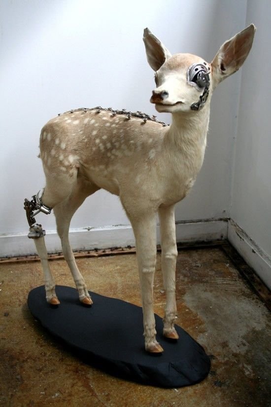 Mechanical taxidermy