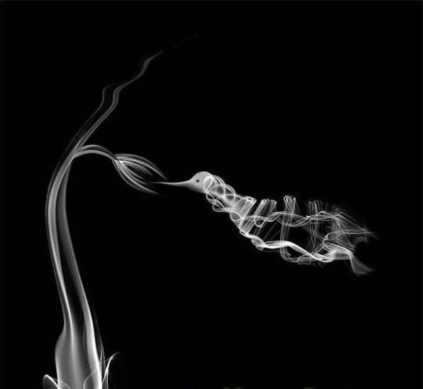 smoke art photography