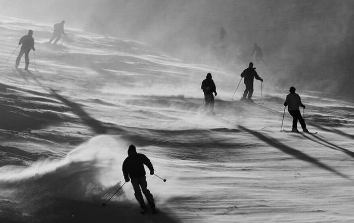 silhouette photography