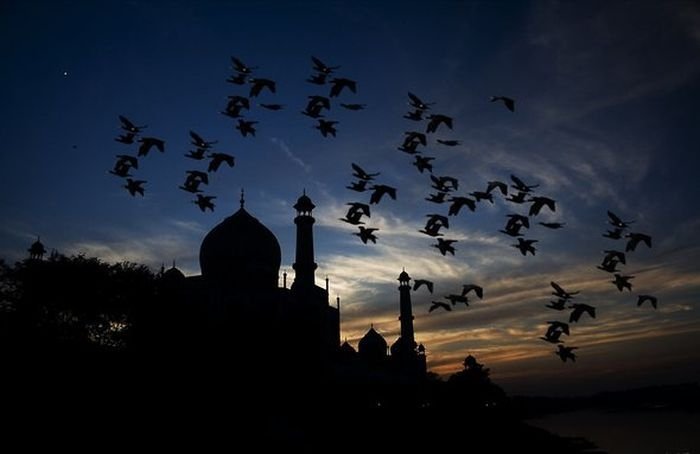 silhouette photography