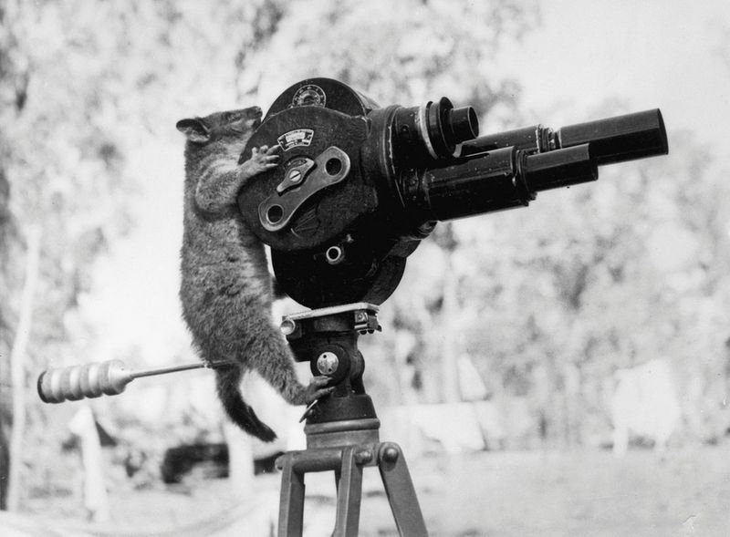 History: retro photography