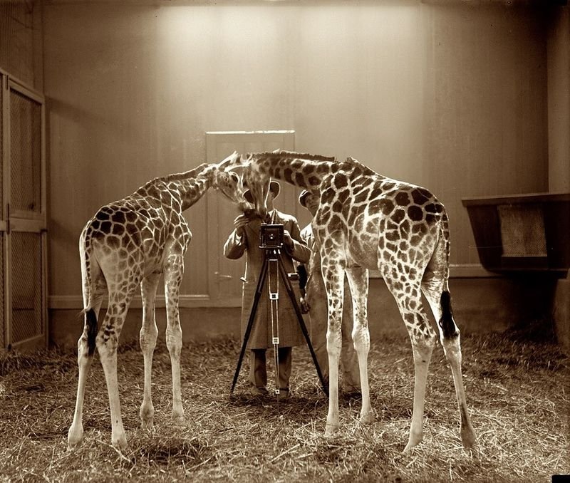 History: retro photography