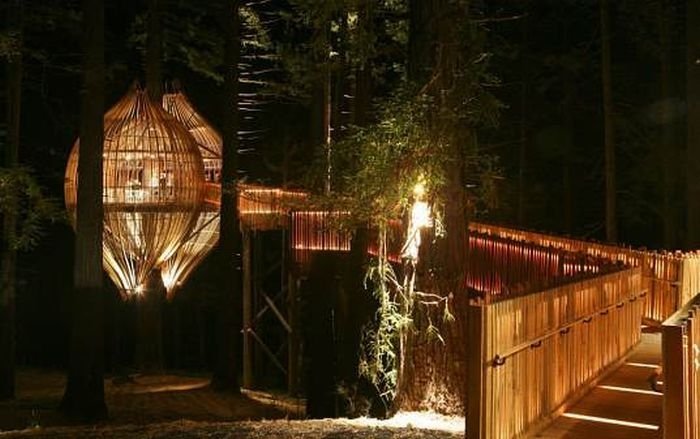Redwoods Crysalis Treehouse restaurant, New Zealand