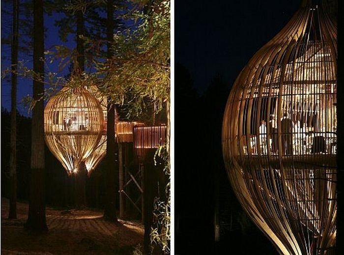 Redwoods Crysalis Treehouse restaurant, New Zealand