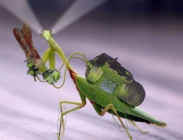 cyborg animal and insect