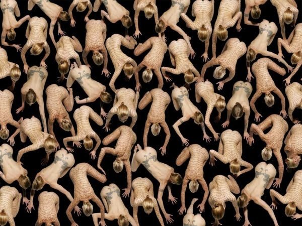Human patterns by Claudia Rogge