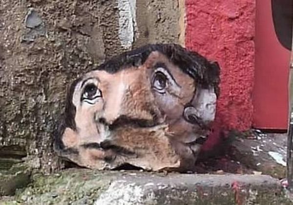 Creative graffiti, Brazil