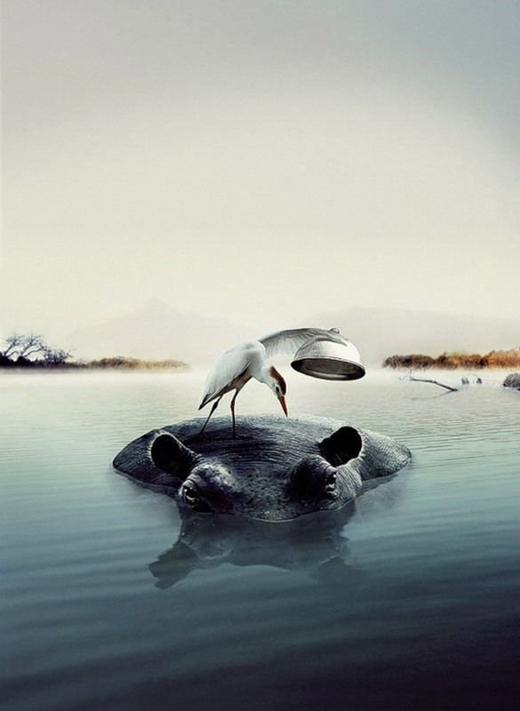 creative digital photography manipulation