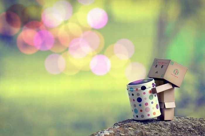 Life of Danbo
