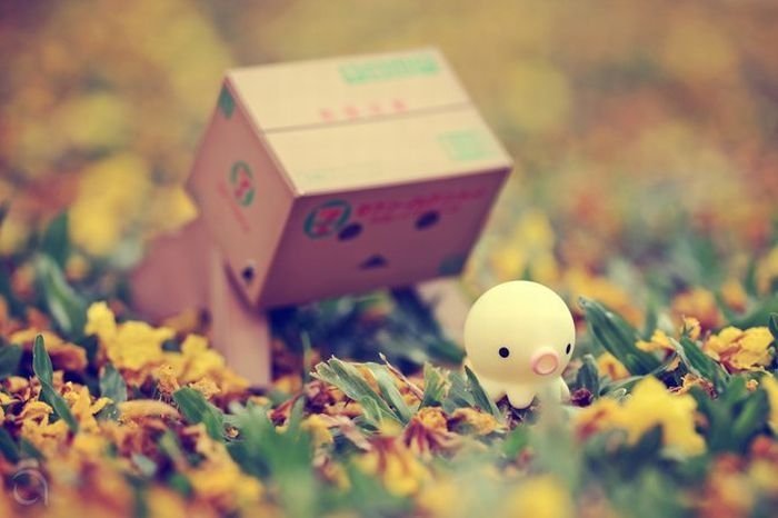 Life of Danbo