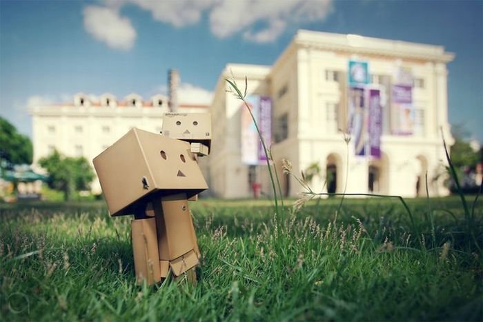 Life of Danbo