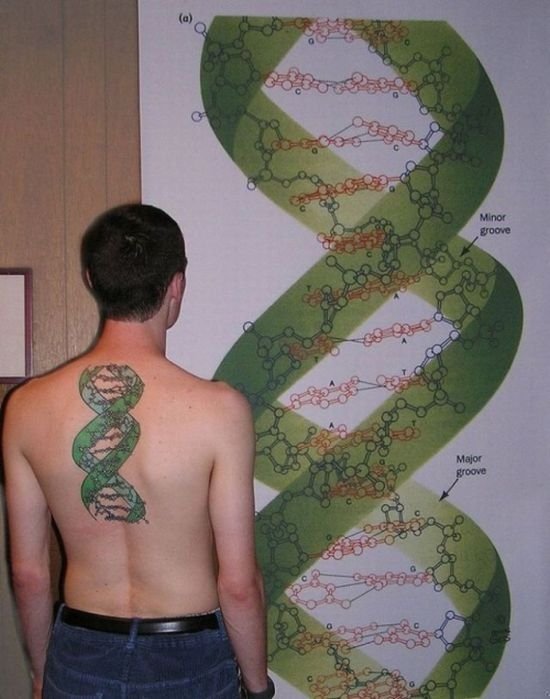 scientific tattoo