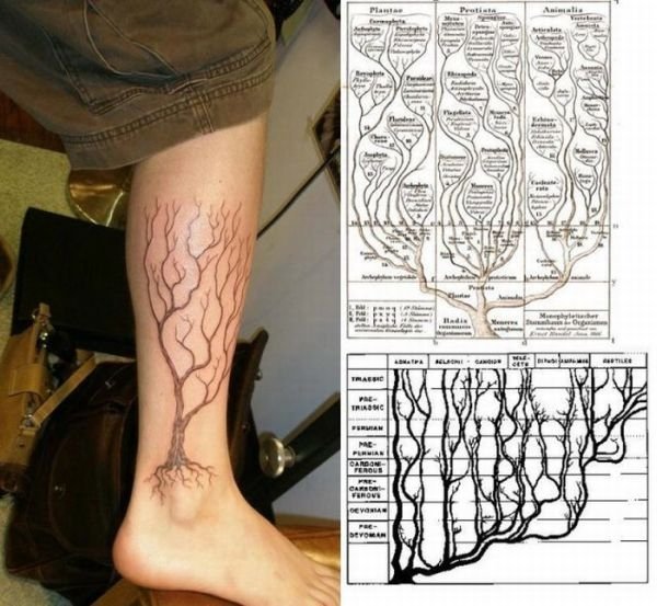 scientific tattoo