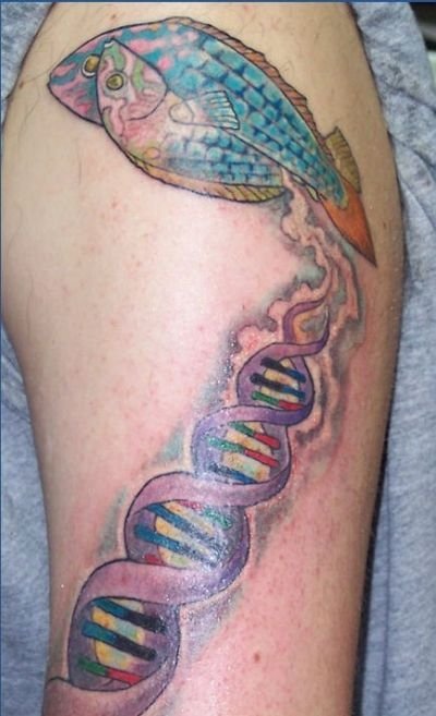 scientific tattoo