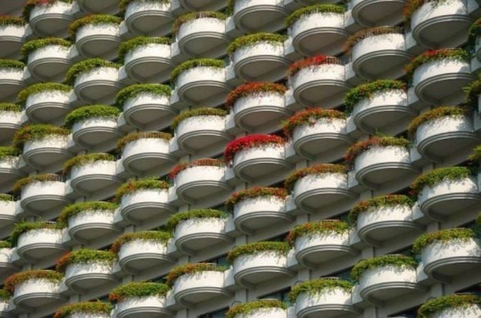 repetitious photo art