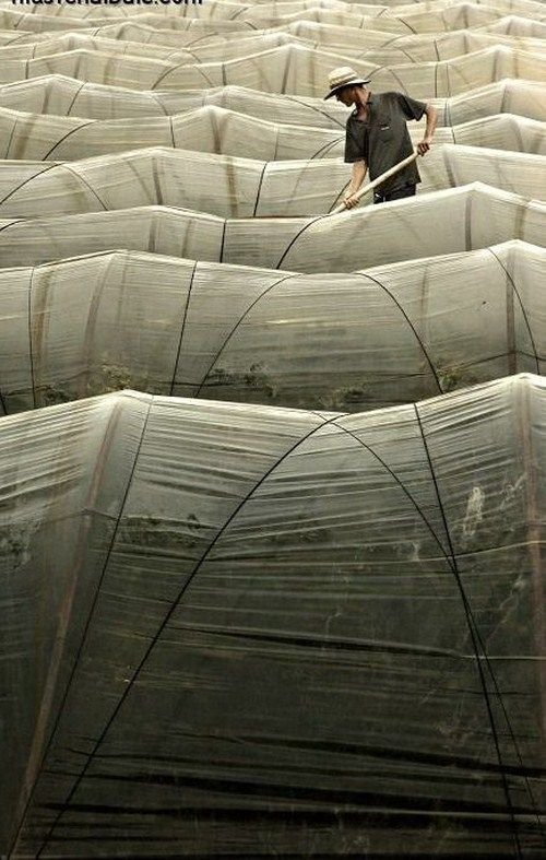 repetitious photo art
