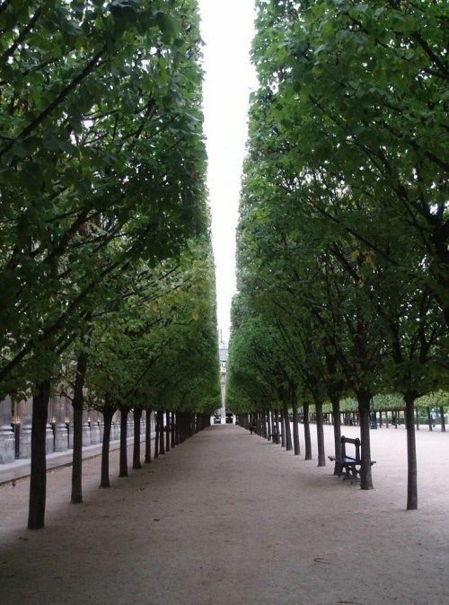 repetitious photo art